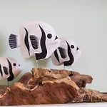 בית נופש Casa Daneo פלאיה בלנקה