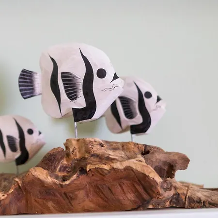 بيت للعطل Casa Daneo بلايا بلانكا